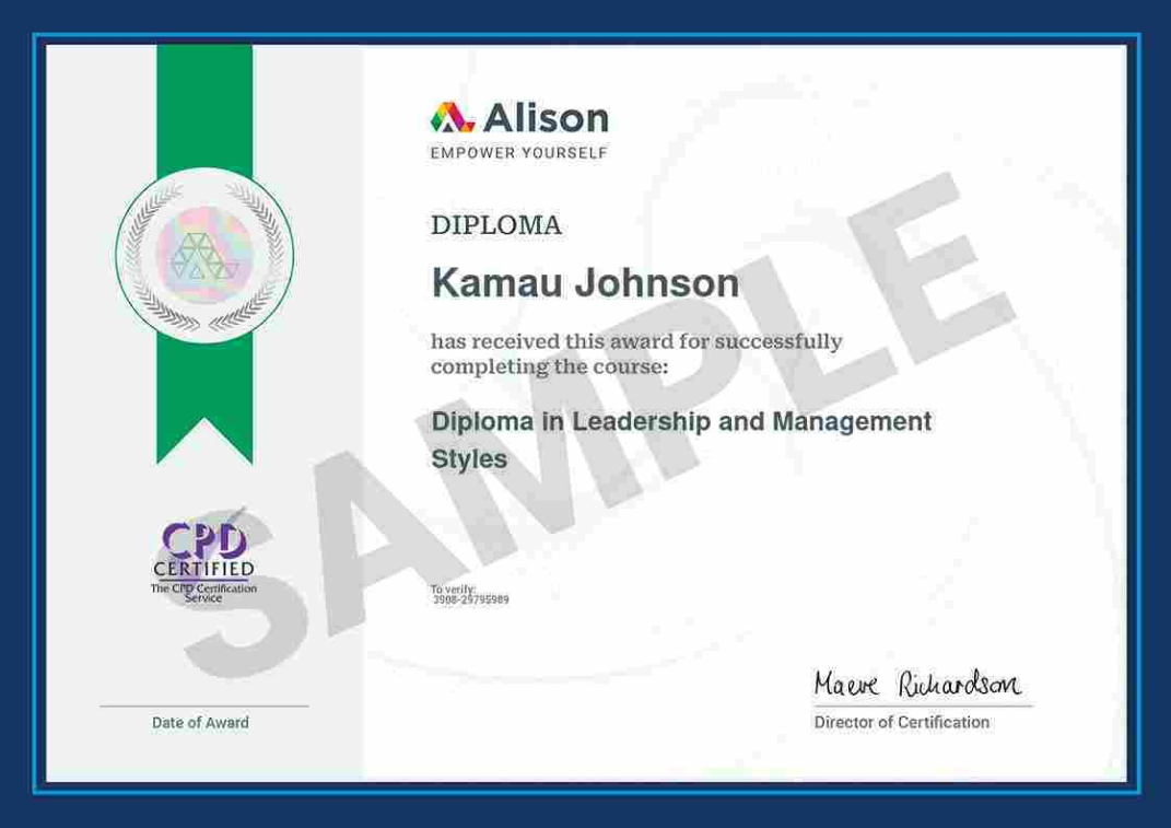 Diploma in Leadership and Management Styles